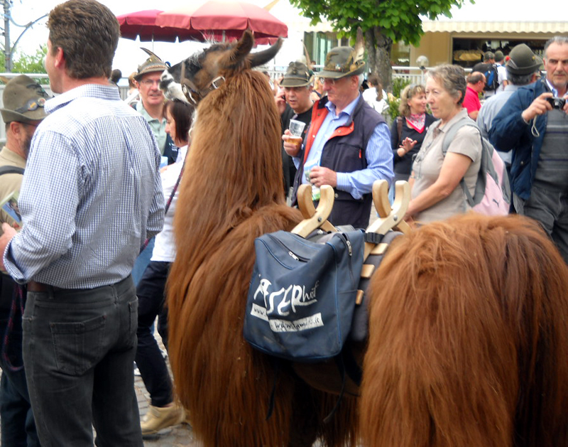 Adunata Bolzano 2012 aa