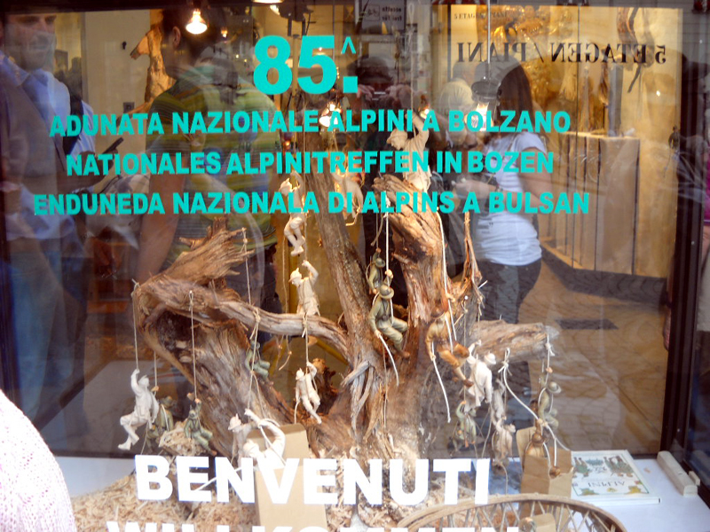 Adunata Bolzano 2012 bo